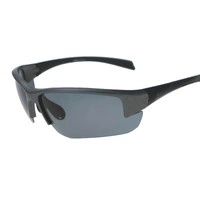 Okulary fotochromatyczne GOLIATH POLARIZED cat. 2-3