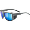 Okulary SPORTSTYLE 312