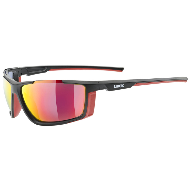 Okulary SPORTSTYLE 310