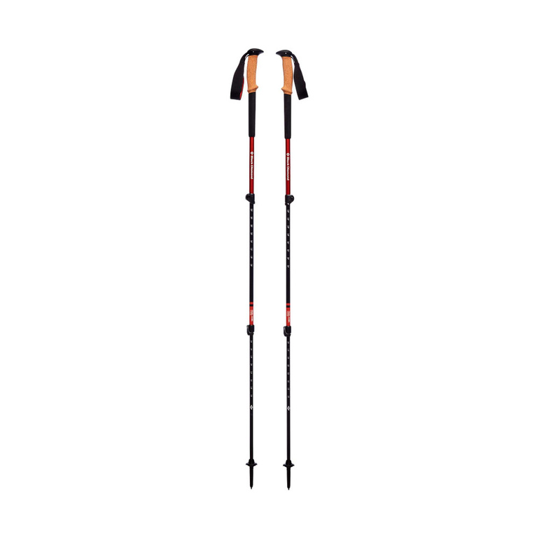 Kije trekkingowe TRAIL CORK TREKKING POLES