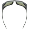 Okulary SPORTSTYLE 312