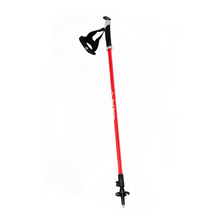 Kije nordic walking NORDIC PRO II